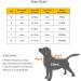 Pettom Dog Bathrobe - Fast-Drying Microfiber Super Absorbent Cotton for Small Medium & Large Dogs - M Green - Buy Online on GoSupps.com