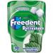 FREEDENT Refreshers Chewing Gum Mint Green Box of 30 Dragees 67 g