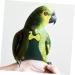 MipCase Flying Bird Diapers & PET PEE PAD for Small Animals | Flight Suits for Nymphensittich & Cotton Clothing | 17x9cm - Buy Online on GoSupps.com