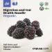 Digestion & Gut Health Bundle - Natural Complete Cleanse for Detox & Balance - Buy Online on GoSupps.com