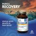 PURICA - Recovery Extra strength Whole Body Health and Pain Relief Capsules - 180 count 180 count (Pack of 1) - Buy Online on GoSupps.com