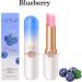 6 Packs Jelly Lipstick Set Fruit Color Change Lip Balm Set Peach Aloe Vera Strawberry Blueberry Avocado Grape Color Change Lip Balm Long Lasting Moisturizer Lip Makeup Set (6PCS) - Buy Online on GoSupps.com