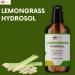 mGanna Lemongrass Hydrosol 4 fl oz / 118 ml | Aromatic Mist for Skin Care Toning and Refreshing - Buy Online on GoSupps.com