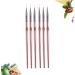 Ipetboom Poly Nail Art Liner Drawing Brushes Colored Drawing Tool for Manicure Star Room Decor Manicure Nail Art Brush Practical Nail Art Liner Brush Pink Painted Pen - Buy Online on GoSupps.com