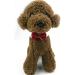 Diafas Adjustable Cotton Pet Collar for Dogs & Cats - Red Bow Tie Formal Bowknot - Perfect for Puppies & Kittens | International Shipping - Buy Online on GoSupps.com