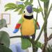 Interactive Cute Talking Parrot Toy | Repeat Speaking & Waving Wings | Funny Plush Bird Gift - Buy Online on GoSupps.com