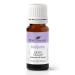 Plant Therapy Quiet Cough KidSafe Essential Oil Blend 10 mL (1/3 oz) 100% Pure, Undiluted, Therapeutic Grade Oil 0.34 Fl Oz (Pack of 1)