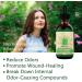 Urisgo Chlorophyll Liquid Drops - Natural Energy Booster Digestion & Immune Support - 3Pcs | International Shipping Available - Buy Online on GoSupps.com