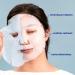 Facetory 23 Sheet Mask Collection - Hydrating, Moisturizing, Radiance Boosting | Made in Korea | Variety Pack of 23 Sheet Masks - For All Skin Types - Buy Online on GoSupps.com