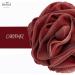 Exfoliating Bath Shower Sponge - Rose Shape Mesh Loofah Balls for Deep Cleansing & Soft Body Scrubbing - Buy Online on GoSupps.com