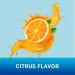Chloraseptic Sugar Free Citrus Sore Throat Spray - 6 Ounce - Buy Online on GoSupps.com