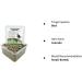Cockatiel Specific Premium Mix Bird Seed Natural & Healthy Gourmet Choice 1.6KG In 2.4L Resealable Tub - Buy Online on GoSupps.com