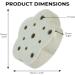 Eco-Friendly Lotus Shaped Clay Floral Holder for Happy and Wealthy Floral Arrangements - White, 2.76 inches - Buy Online on GoSupps.com