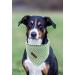 Lionet Paws Dog Bandana Headscarf - Green & White Checked Triangle Scarf (Pack of 1) - Ideal for Pets - International Shipping - Buy Online on GoSupps.com