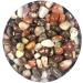 100g Natural Salt Source Agate Quartz Crystal Rock Specimen Suitable for Home HOMEZHOU - Buy Online on GoSupps.com