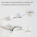 Giani Magnetic Lashes Giani Magnetic Eyelashes Krafty Magnetic Eyelashes Magnetic Eyelashes Magnetic Eyelashes Easy(A) - Buy Online on GoSupps.com