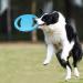 Skrtuan Dog Frisbee - Interactive Toy for Medium & Large Dogs | Squeaking & Water-Resistant | Perfect for Swimming & Playtime - Buy Online on GoSupps.com
