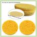 DENGWANG Turmeric Kojic Acid Pads Turmeric Kojic Acid Cleansing Pads Turmeric Exfoliating Pads Kojic Acid and Turmeric Cleansing Pads Turmeric Face Pads for Face (50PCS Yellow) 50PCS Yellow - Buy Online on GoSupps.com