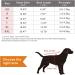 Idepet Dog Sweater & Pet Clothes - Warm Coat for Small Dogs & Cats (Medium Black) - Buy Online on GoSupps.com