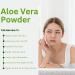 Hebhac Herbs Aloe Vera Powder Organic 227g (8oz) Aloe Vera Powder for Hair & Face | Aloe Barbadensis | AloeVera, Natural Hair & Skincare, Moisturizer, Herbal Cosmetics, Supports Immune System (8 oz) - Buy Online on GoSupps.com