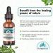 PURELY WILD Oregano Oil from Mediterranean Sources - Dr Cass Ingram's Original Formula - Immune Support Supplement with Wild Oregano Oil Drops - Non-GMO - 432 Servings - 1 fl oz - Buy Online on GoSupps.com