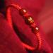 Vsilay Dragon Year Lucky Bracelet | Unique Braided Rope Adjustable Size with Dragon Ornaments | Perfect Gift for New Year - Buy Online on GoSupps.com