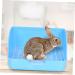 COLLBATH Box Rabbit Training Potty Chinchilla Toilet Trainer Potty Pet Pan Gerbil Toilet Rabbit Potty Plastic 28x23cm Blue - Buy Online on GoSupps.com