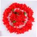 LIFKICH 1 Set 4pcs Hawaiian Floral Garland Make up Headband Artificial Floral Necklace Luau Necklaces Premium Hawaiian Wreath Lei Hair Clips Hawaiian Garland Red Banquet Lillo The Flowers Red Size 1 - Buy Online on GoSupps.com