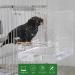 Hanging Bird Bath Cube | Transparent Shower Box Bowl with Stainless Steel Hooks for Small Birds - Ideal for Canary, Budgerigar, Parrots, and More - Buy Online on GoSupps.com