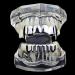 Shop TOYANDONA Silver Plated Hip Hop Teeth Grills for Men & Women | Premium Mouth Bling | Best International Shipping - Buy Online on GoSupps.com