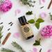 Buy Akarz Black Currant Essential Oil - Organic 10ml for Skin Hair & Aromatherapy | Natural Body Care DIY Candles & Massage - Buy Online on GoSupps.com