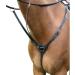 Shires Salisbury 3 Point Breastplate-Black/Silver Cob - Buy Online on GoSupps.com