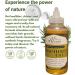 Rosemary Oil 170ml - Handcraft 100% Pure and Natural Rosemary Essential Oil Undiluted Rosemary Oil for Hair Skin and Nails - Cleansing Enhanced Shine and Dry Scalp Treatment - Buy Online on GoSupps.com