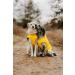 Shop Hunter Dog Raincoat in Milford Yellow - Size 50 | Best International Shipping - Buy Online on GoSupps.com