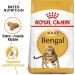 Royal Canin Bengal Cat Food 10 kg - Buy Online on GoSupps.com
