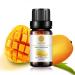 Mango Essential Oil 100% Pure Organic Natural Aromatherapy Mango Oil for Diffuser Massage Yoga Meditation Bath Skin Care (10ml)