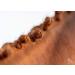 Animalon Mane Gum for Horses | Tear-Resistant Silicone Mane Accessories | 300 Pieces | Ideal for Horse Hairstyles and Grooming - Buy Online on GoSupps.com