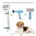 COLORCORAL 2-in-1 Pet Hair Dryer & Slicker Brush | Adjustable 3 Temperatures | For Small & Medium Dogs/Cats - Buy Online on GoSupps.com
