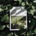 Anua Heartleaf 77% Soothing Sheet Mask - Hydrating & Calming (10pcs) - Microfiber 25ml / 0.84 fl.oz - International Shipping Available - Buy Online on GoSupps.com