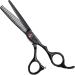 Hair Scissors Hair Scissors Kit Hair Scissors Hair Cutting Professional Kit for Barber Stylist 6 inch with Comb Hair Cutting Kit - Buy Online on GoSupps.com