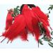100pcs Red Goose Feathers 6-8 Inch - Ideal for Crafts, Wedding Decor, Clothing Accessories - Buy Online on GoSupps.com