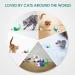 FYNIGO Cat Mouse Toys - 17 Pack Interactive Rattle Set for Indoor Cats and Kittens - Assorted Color Catnip Toys with Feather Tail - Buy Online on GoSupps.com