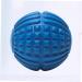 Buy BUIFULSIC Fitness Roller & Massage Ball - Seamless Muscle Massager for Feet & Yoga | International Shipping Available - Buy Online on GoSupps.com