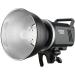 Godox MS300 Studio Strobe 300Ws Monolight with 2.4G Wireless System and 150W Modeling Lamp - Buy Online on GoSupps.com