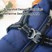 Small Dog Jacket with Harness | Outdoor Sports Vest - Winter Coat for Cats Puppies & Small Dogs XXL Blue - Buy Online on GoSupps.com