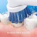 Oral-B Vitality Limited Precision Clean Rechargeable Toothbrush + 1 Refill - Black & White - Buy Online on GoSupps.com