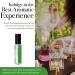 DEMETER Grass Roll On Perfume Oil 0.33 Oz Long-Lasting - Buy Online on GoSupps.com