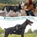 PETAMI Medium Dog Saddle Bag - Travel Vest for Dogs | Large Black Linen Backpack - Buy Online on GoSupps.com