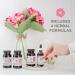 Garden of Life Wild Rose Herbal D-Tox 12-Day Kit | 4-Piece Detox Set - Buy Online on GoSupps.com
