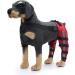 Dog Double Rear Leg Brace Dog Knee Brace Dog Double Rear Leg Brace- ACL Hind Leg Brace with Reflective Seat Belts - Supportive Dog Knee Brace X-Small - Buy Online on GoSupps.com